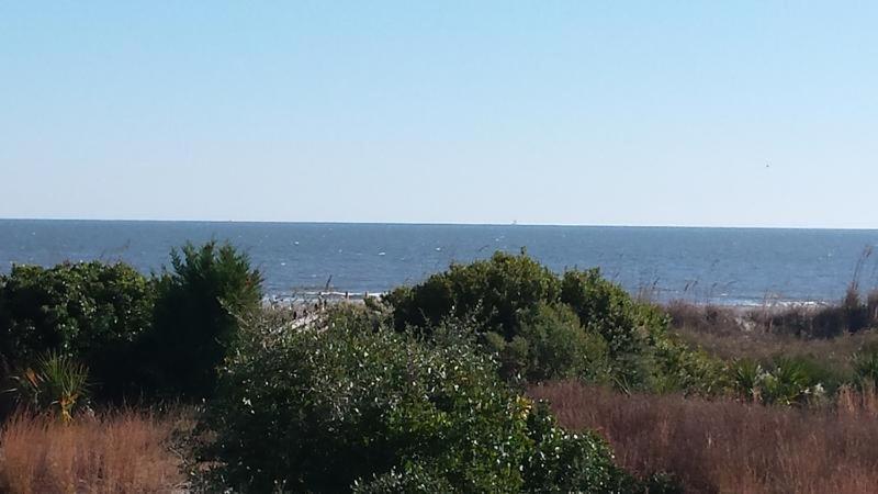 306 E Arctic Ave. Villa Folly Beach Bagian luar foto